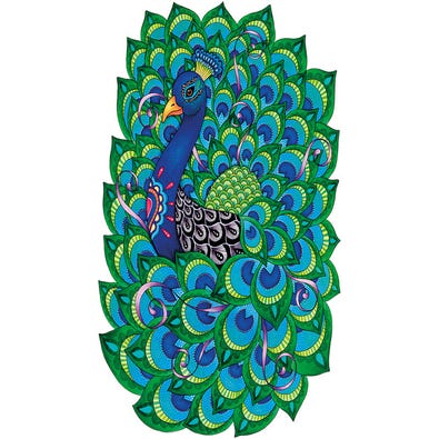 Proud Peacock