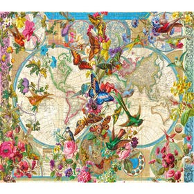 Birds, Butterflies and Blooms