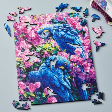 Tropical Fiesta
