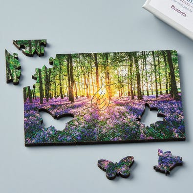Bluebells
