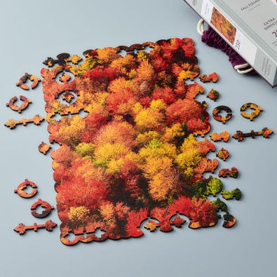 Fall Foliage