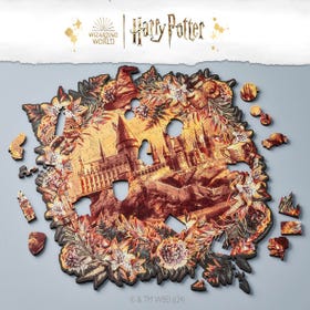 Hogwarts Castle Romance