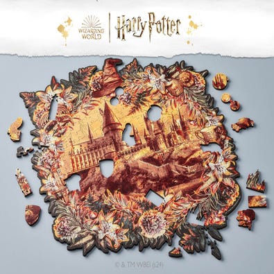 Hogwarts Castle Romance