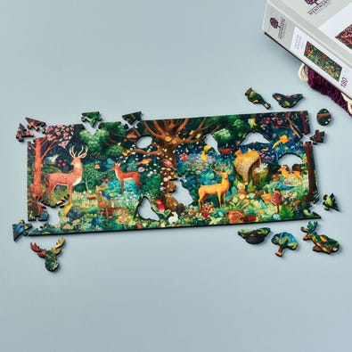 Enchanted Woodland