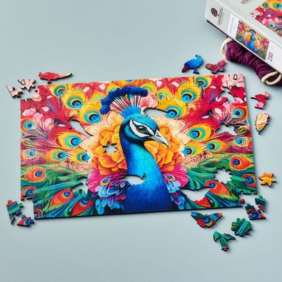 Peacock Mural