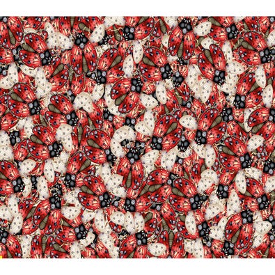 Loveliness of Ladybugs