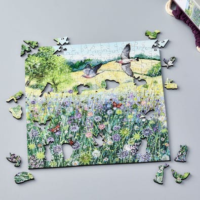 Summer Landscape