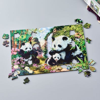 Panda Valley