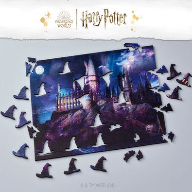 Hogwarts in the Moonlight