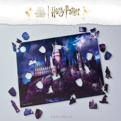 Hogwarts in the Moonlight