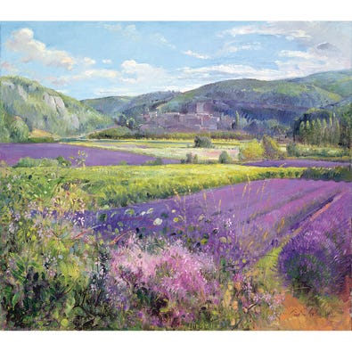 Lavender Fields in Provence
