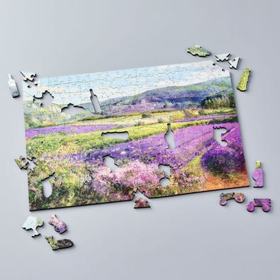 Lavender Fields in Provence