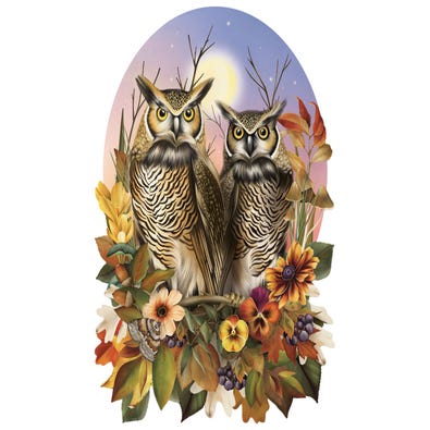 Autumn Owls