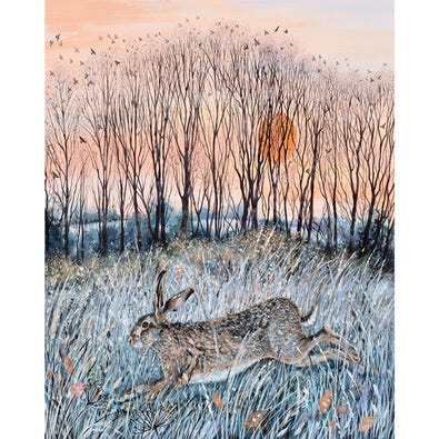 Hare At Sundown