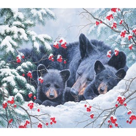 Cosy Bears
