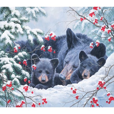 Cosy Bears