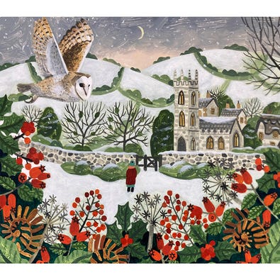 Countryside in Winter