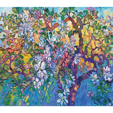 Apple Blossoms