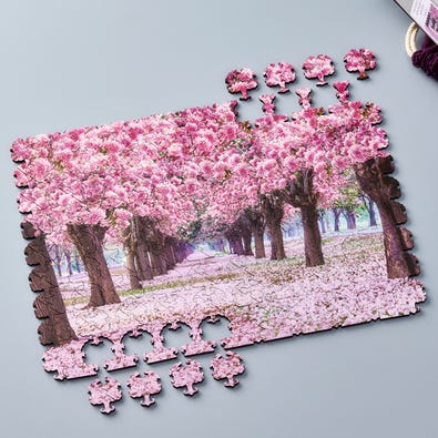 The Puzzle That Continued to Blossom