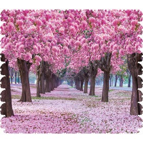 The Puzzle That Continued to Blossom