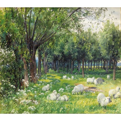 Sheep in an Orchard at Springtime