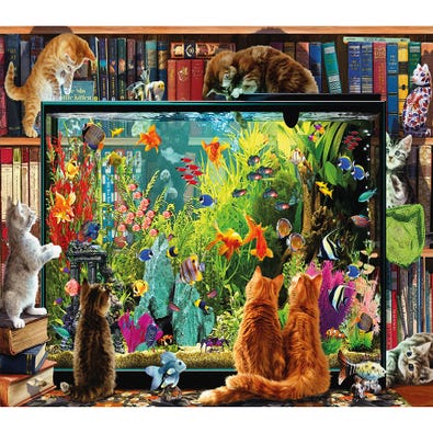Kitten Aquarium