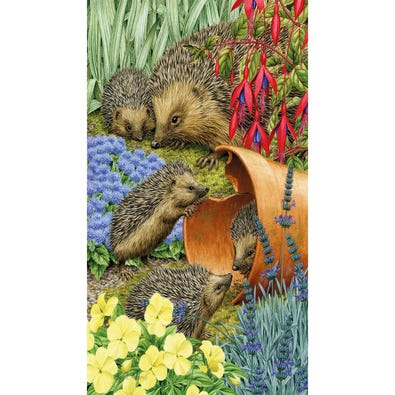 Hedgehogs