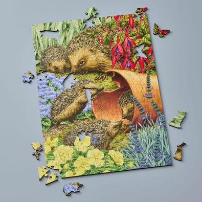 Hedgehogs