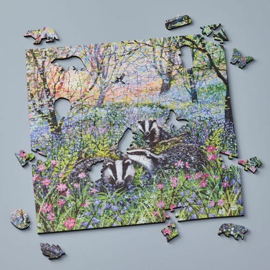 Bluebell Badgers