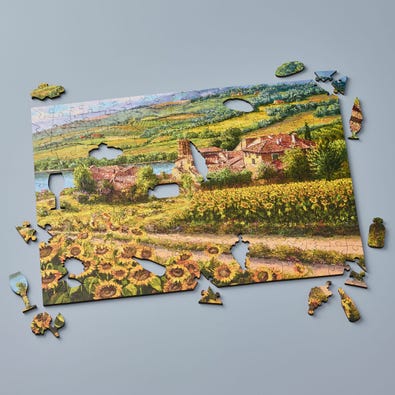 Tuscany Sunflowers