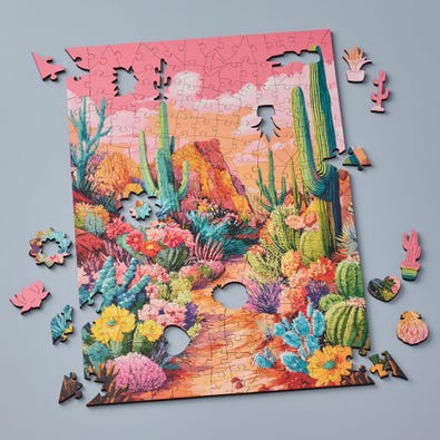 Colourful Cacti