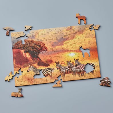 Zebras On The Savanna