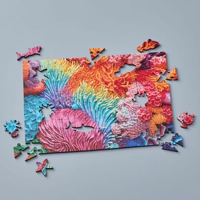 Colourful Coral