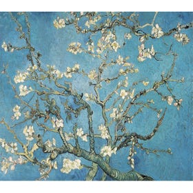 Almond Blossom, 1890