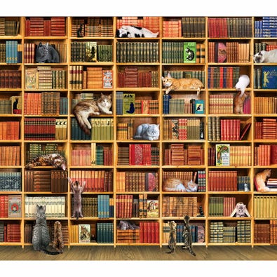 A puzzle for adults featuring a large book case with cats climbing and sleeping in it.