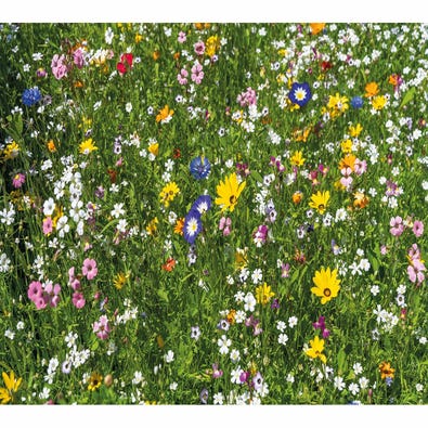 An extra difficult mini adult puzzle of a flower meadow.