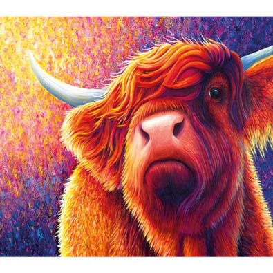 Highland Cow
