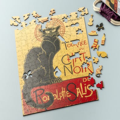 Chat Noir