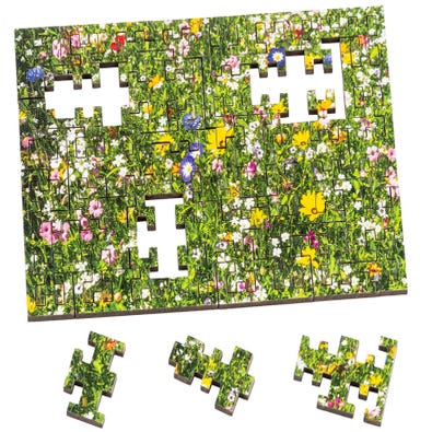 Colourful Meadow