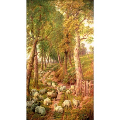 Landscape with Sheep - Charles Jones