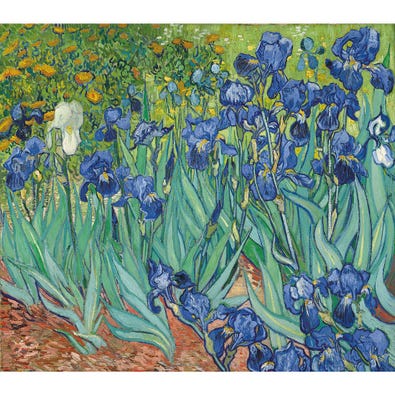 Irises - Vincent Van Gogh