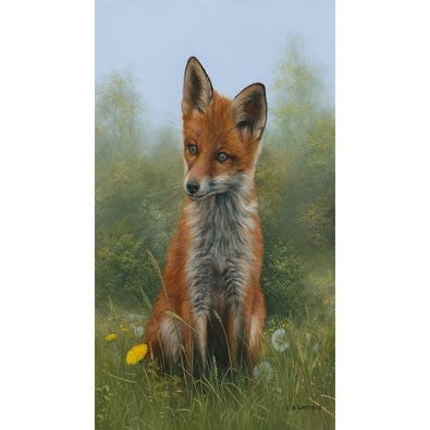 Young Fox - Carl Whitfield