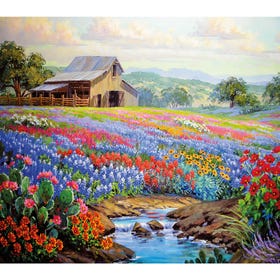Texas Glory - Mikki Senkarik