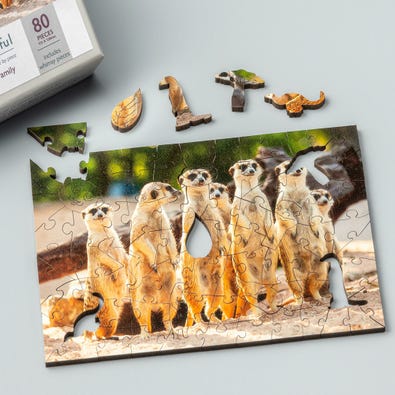 Meerkat Family