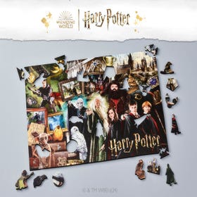 The Wizarding World