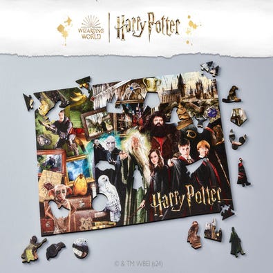 The Wizarding World