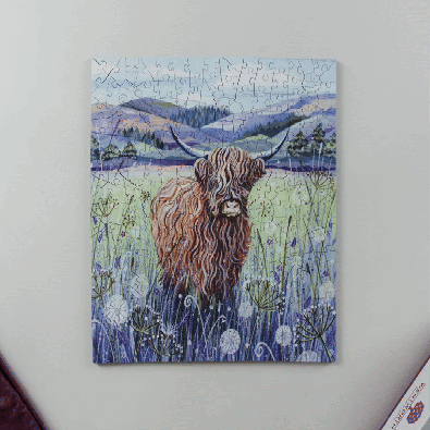 Scottish Cow