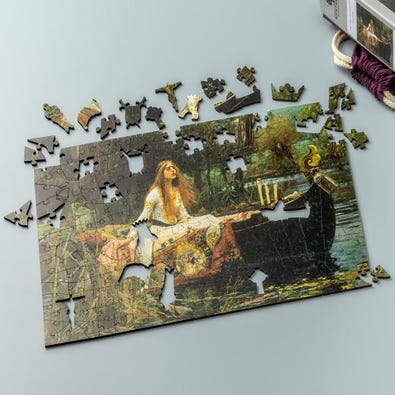 The Lady of Shalott