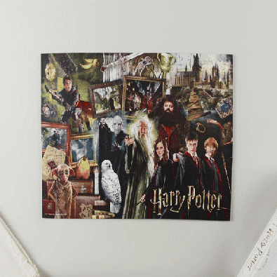 The Wizarding World